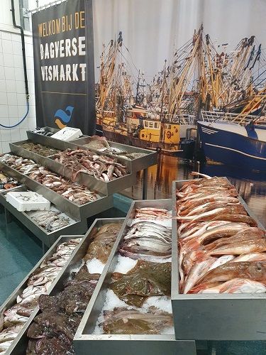 Verse Vismarkt Noordzee_vis 5-2022_2